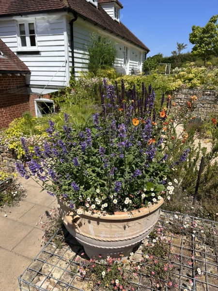 Quarry Wood Farm & Tilsmore Vineyard